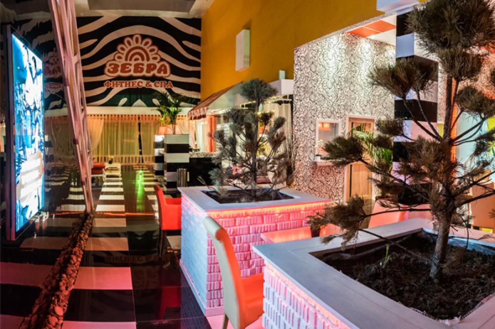 Зебра, м. Калужская