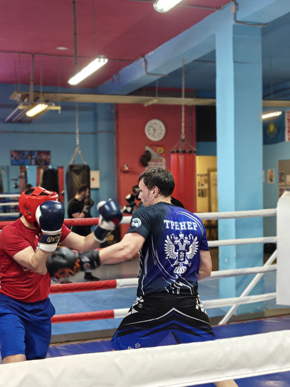 Философия Бокса