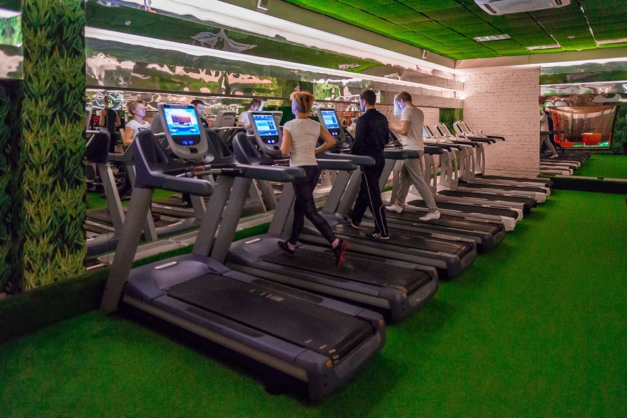 Зебра, м. Дубровка