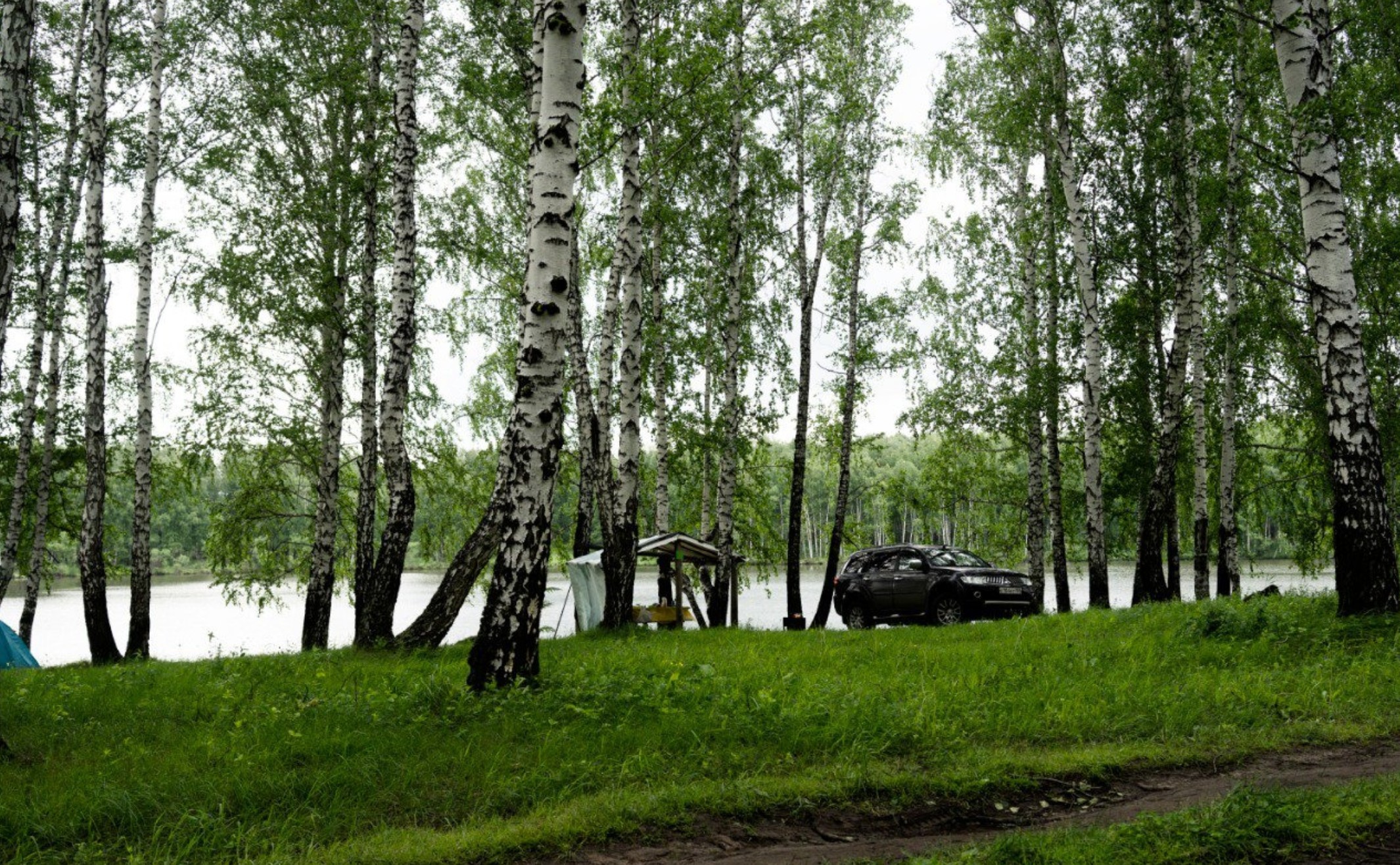 «Чистые Пруды Сибири»