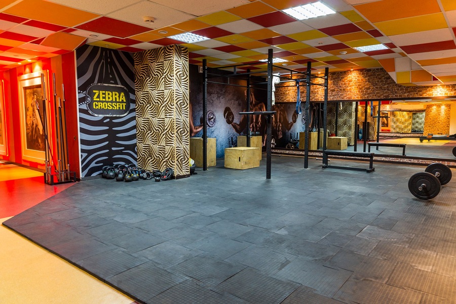 Зебра, м. Дубровка