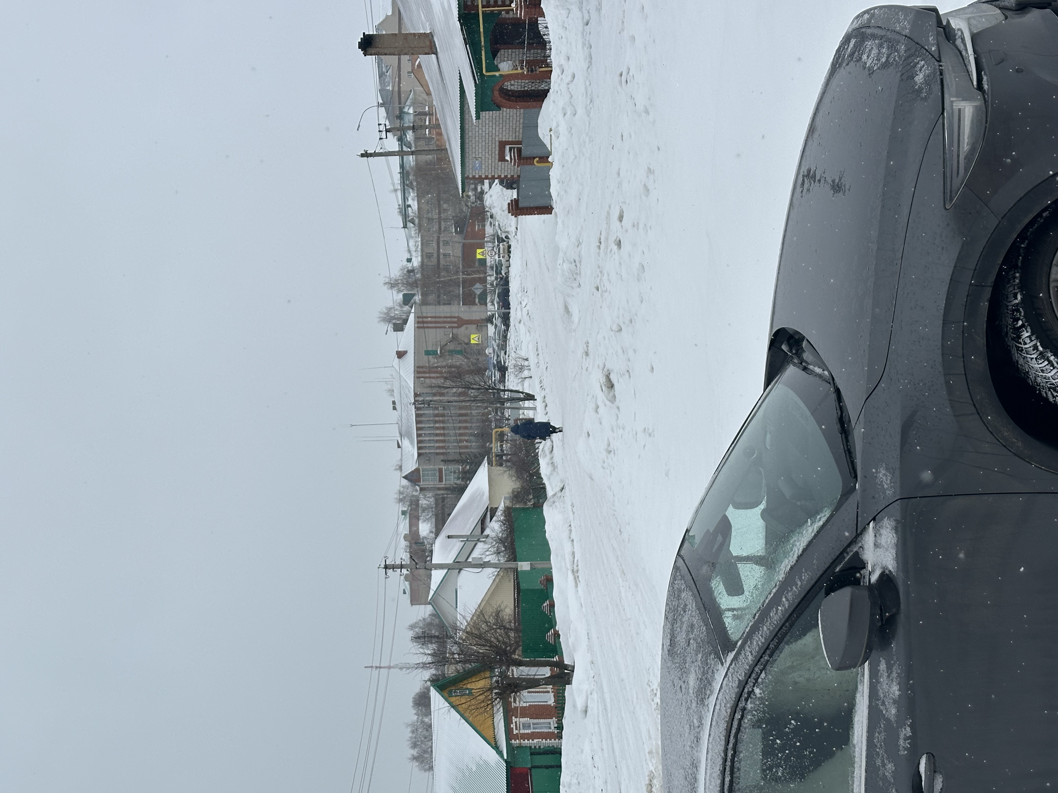 «Гранатовый цветок»