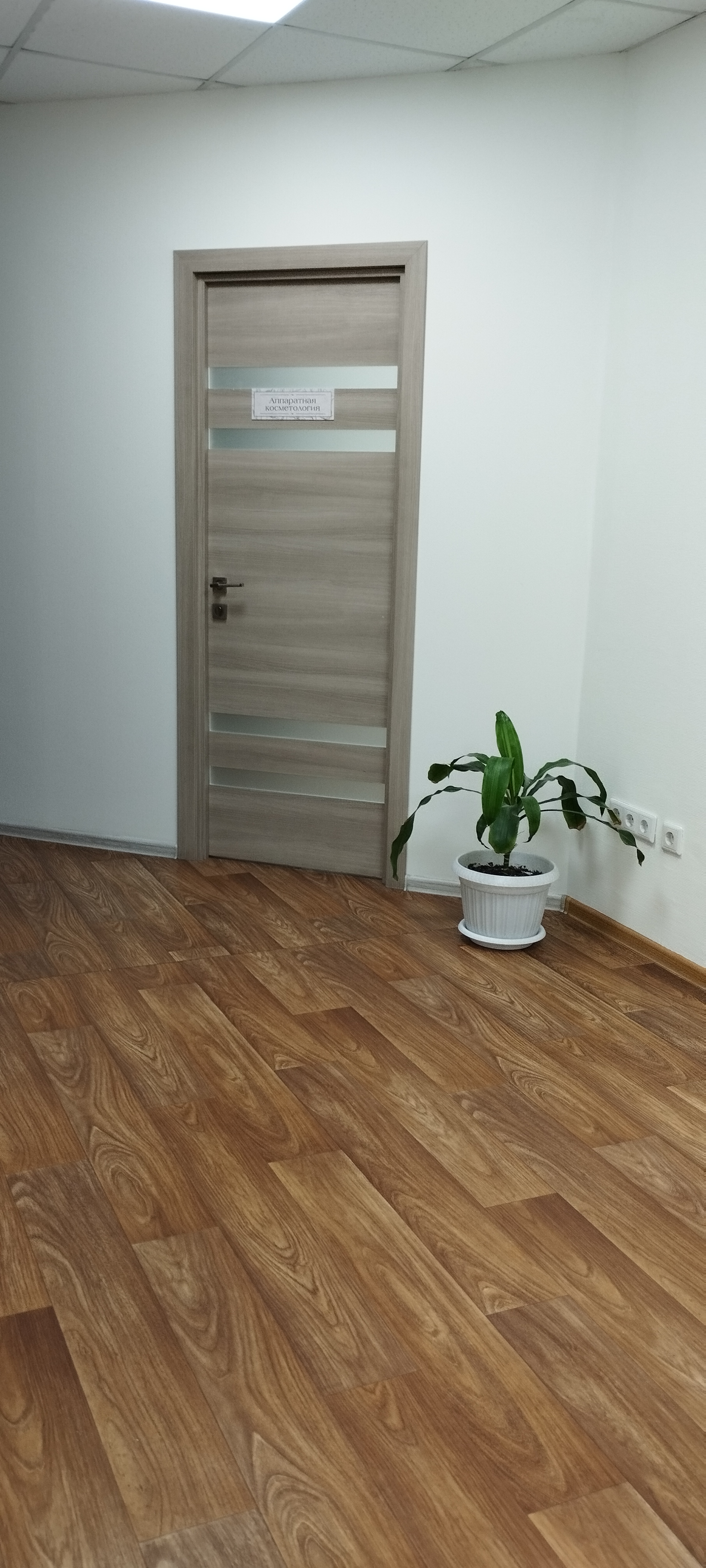 Академия Йогатерапии Татьяны Васильевой