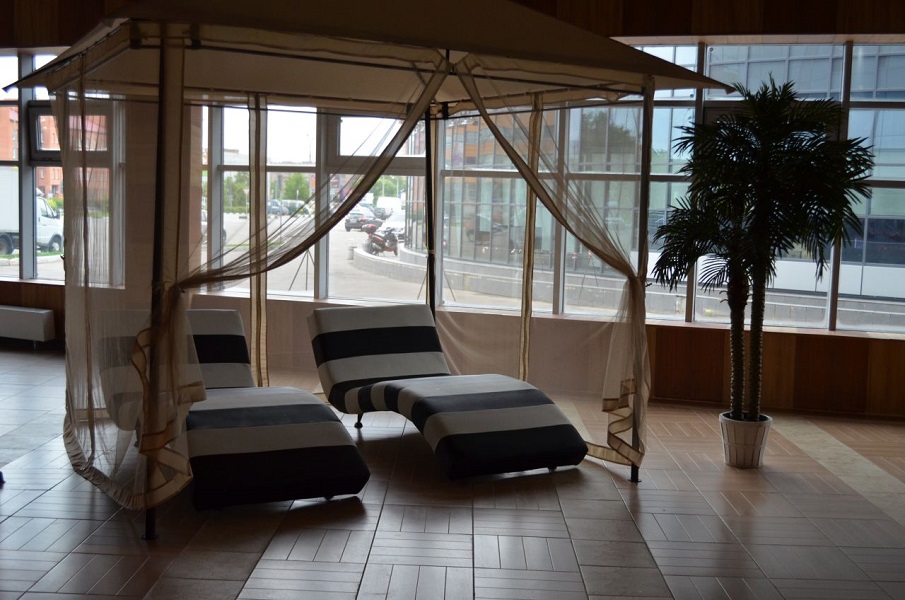 Зебра Олимпийский