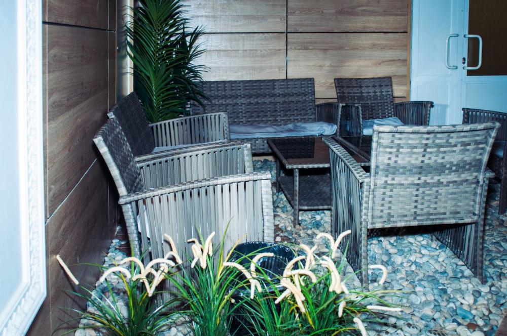 Зебра, м. Свиблово