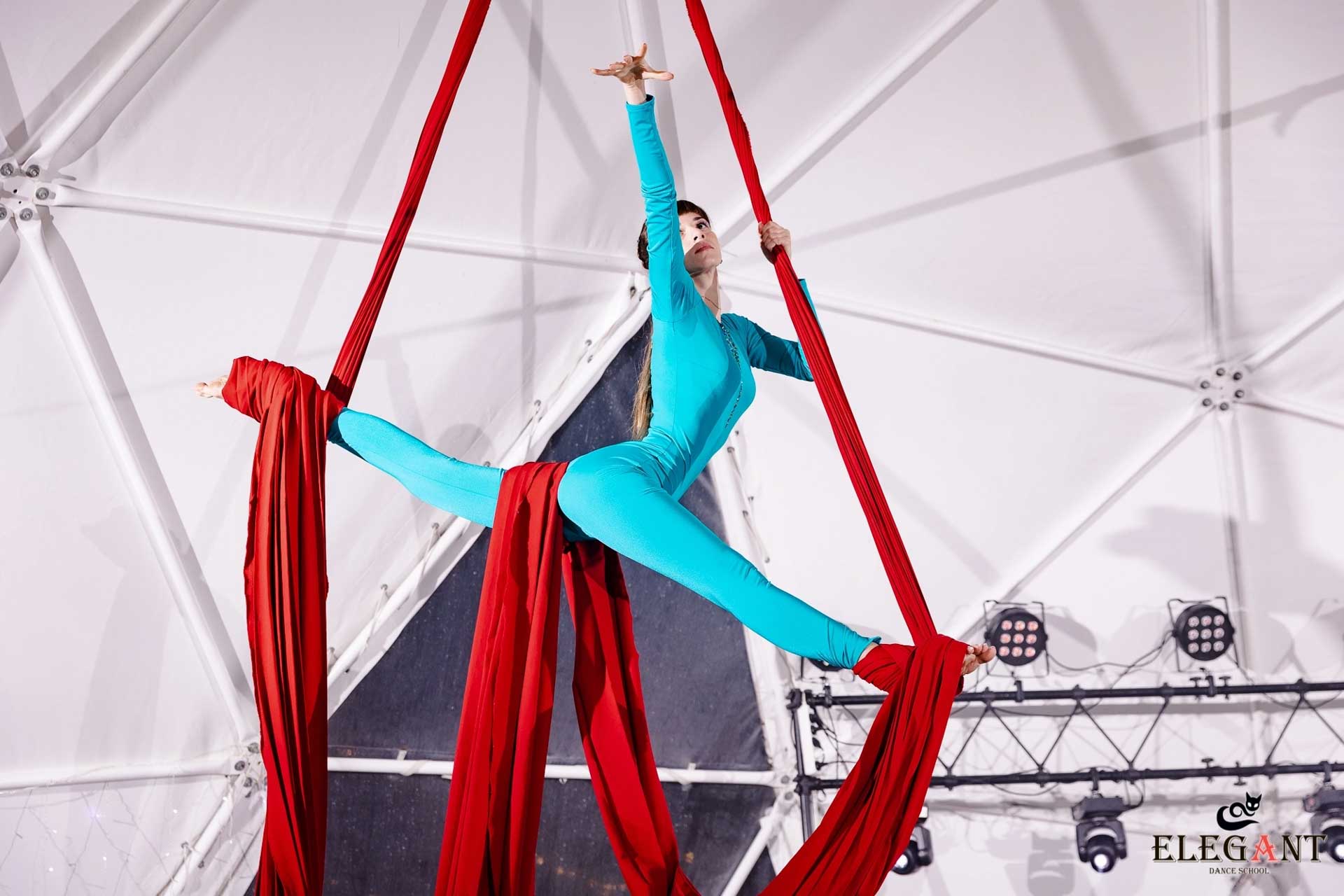 Elegant Pole Dance Kursk