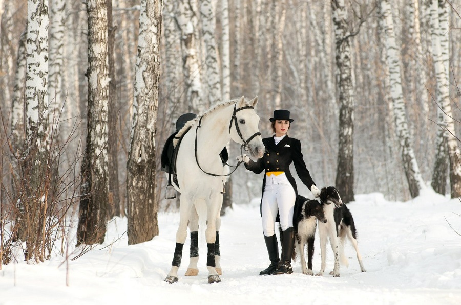 Сосновый бор