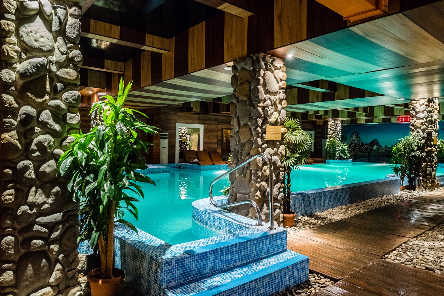 Зебра, м. Автозаводская