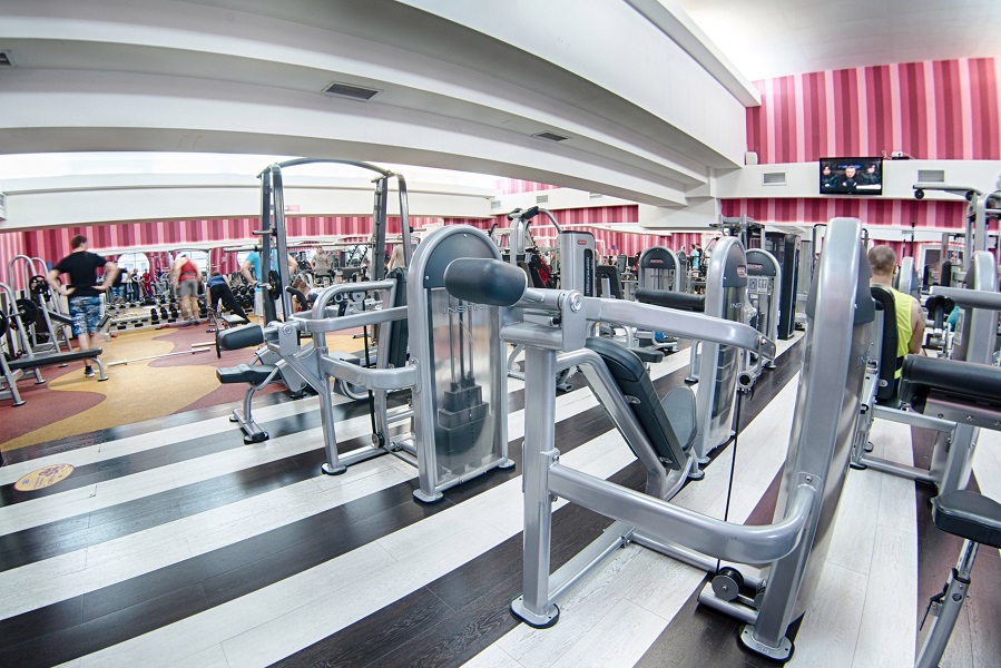 Зебра, м. Бауманская