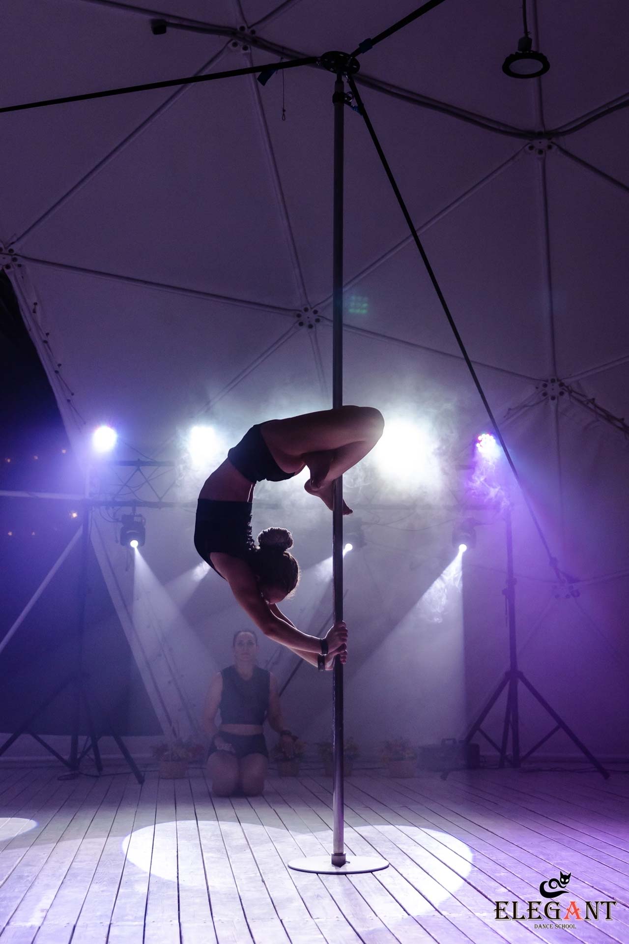 Elegant Pole Dance Kursk