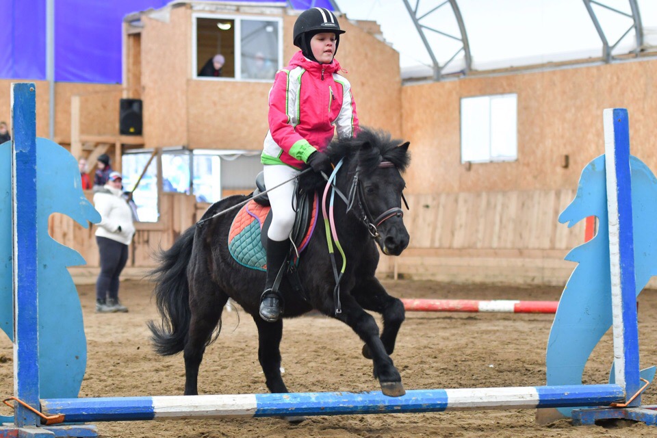 Сосновый бор