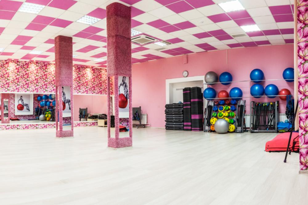 Зебра, м. Калужская