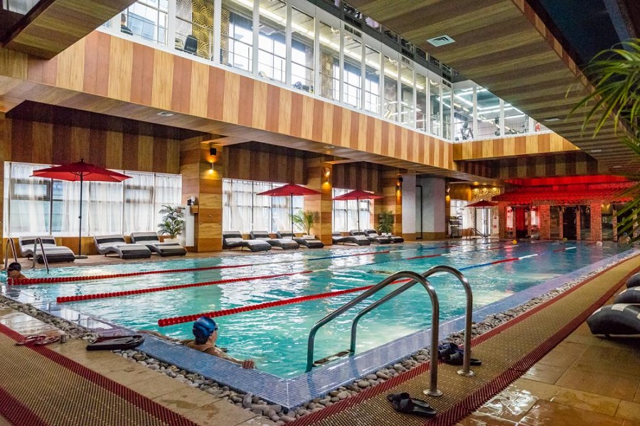 Зебра Олимпийский