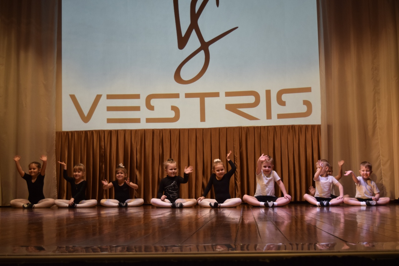 Танцевальная студия VESTRIS
