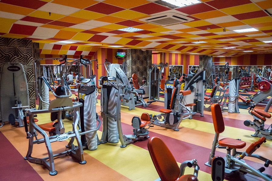 Зебра, м. Дубровка