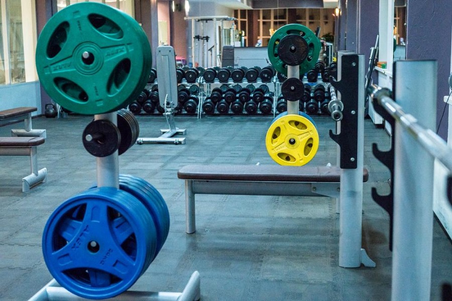 Зебра, г. Щёлково