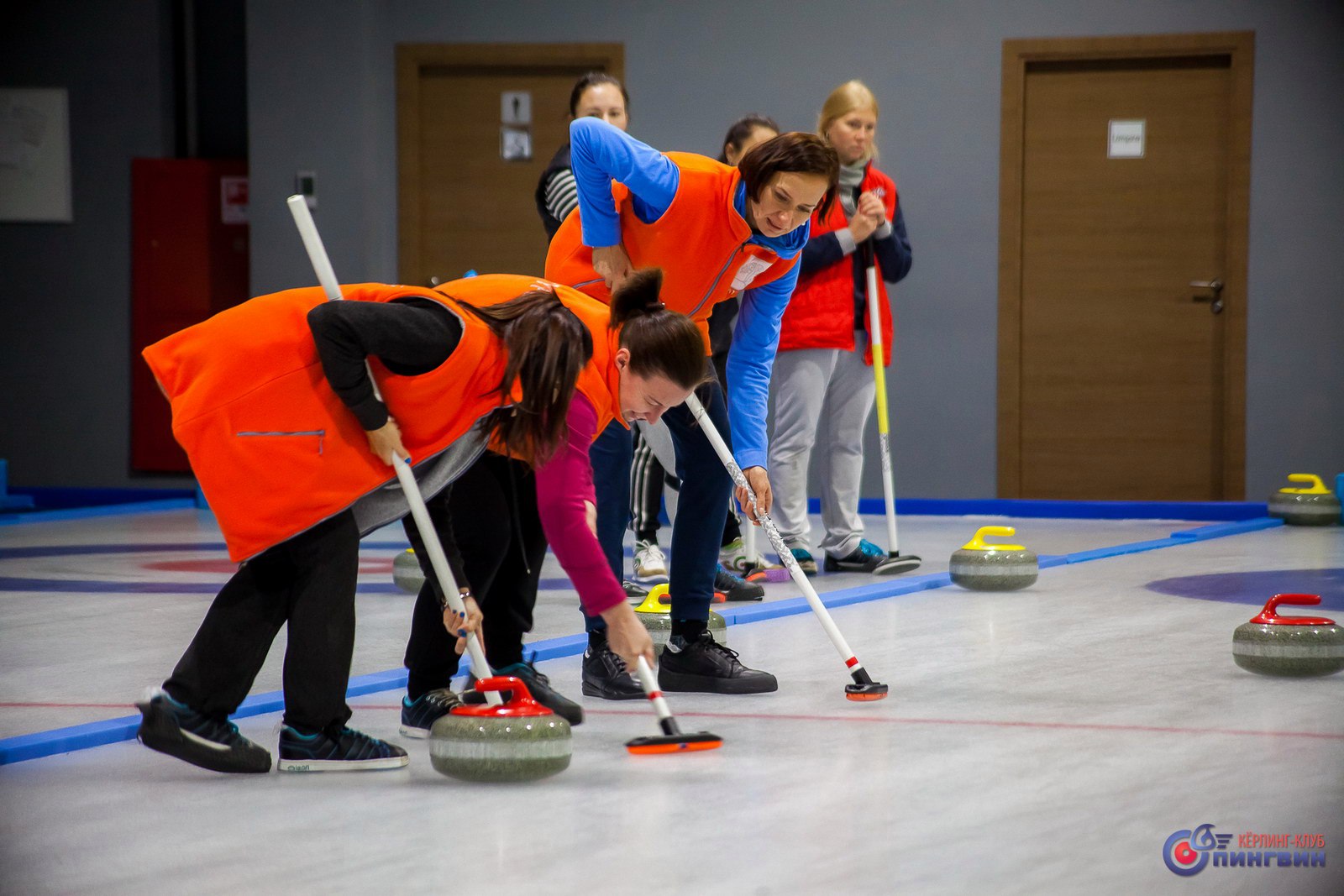 Кёрлинг-клуб «ПИНГВИН»