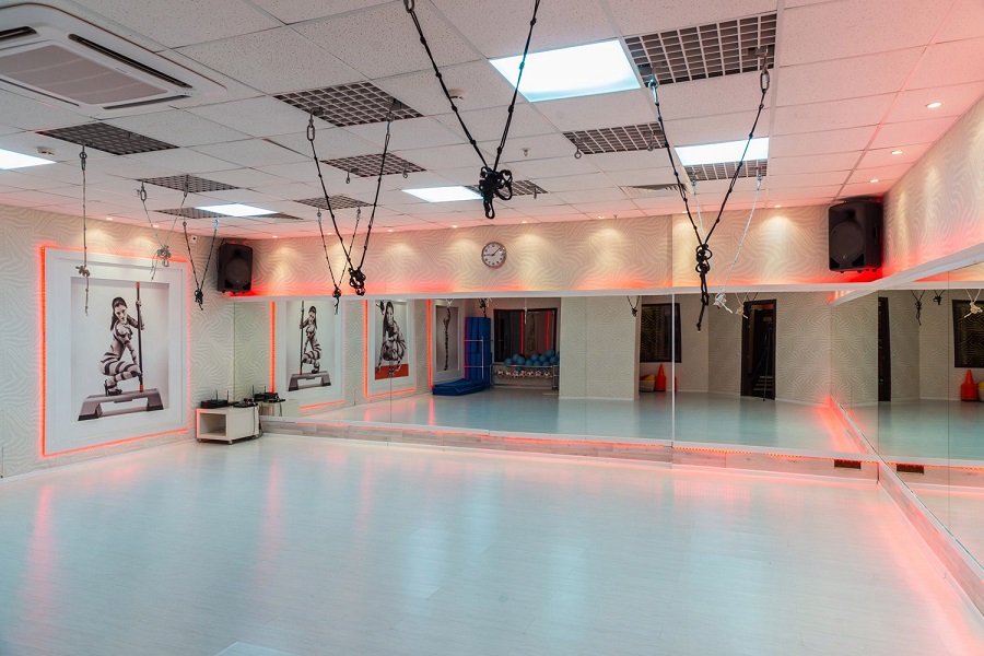 Зебра, м. Дубровка