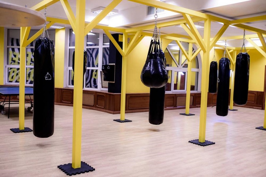 Зебра, г. Щёлково