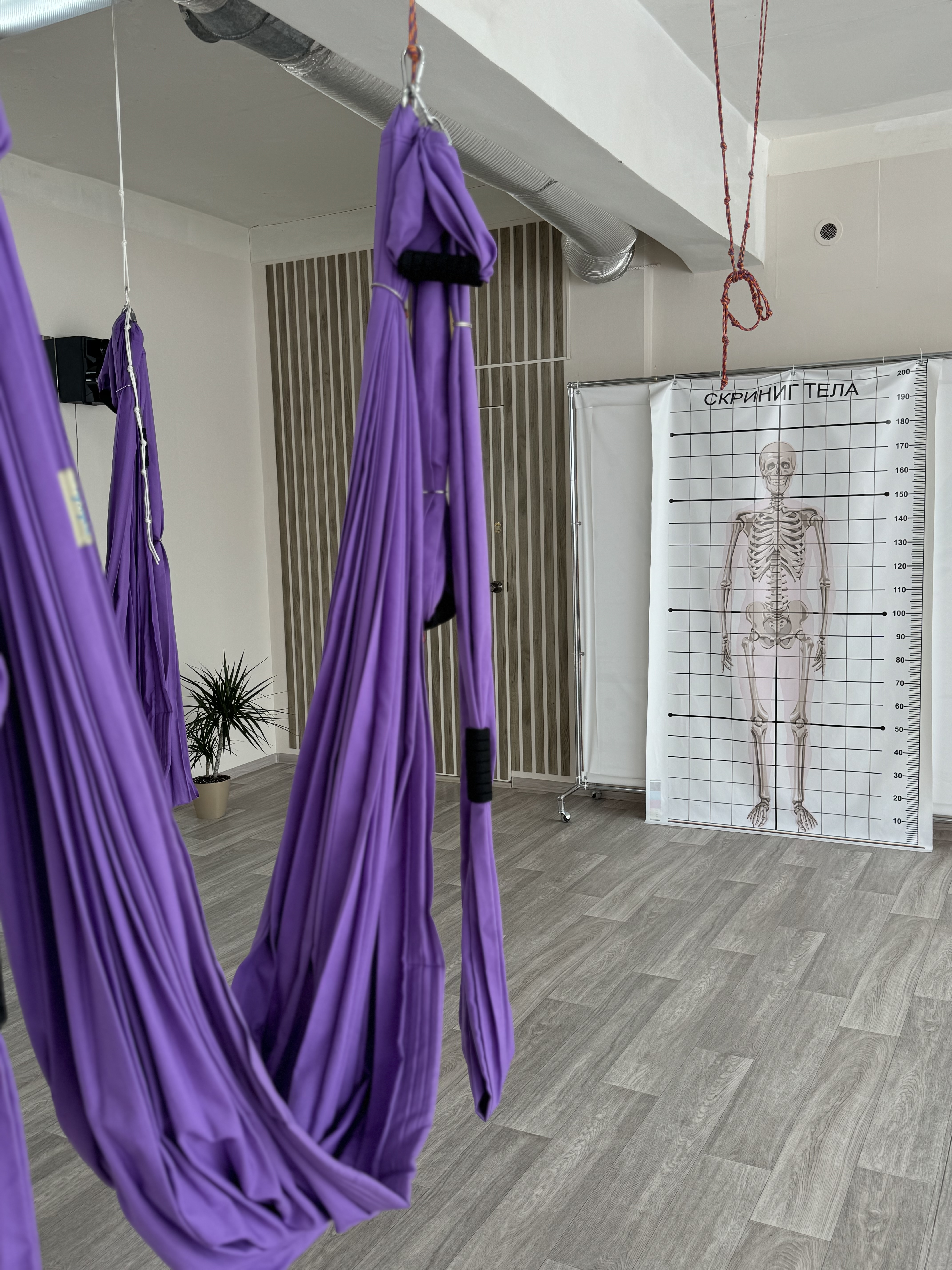 Фитнес-студия IN BALANCE