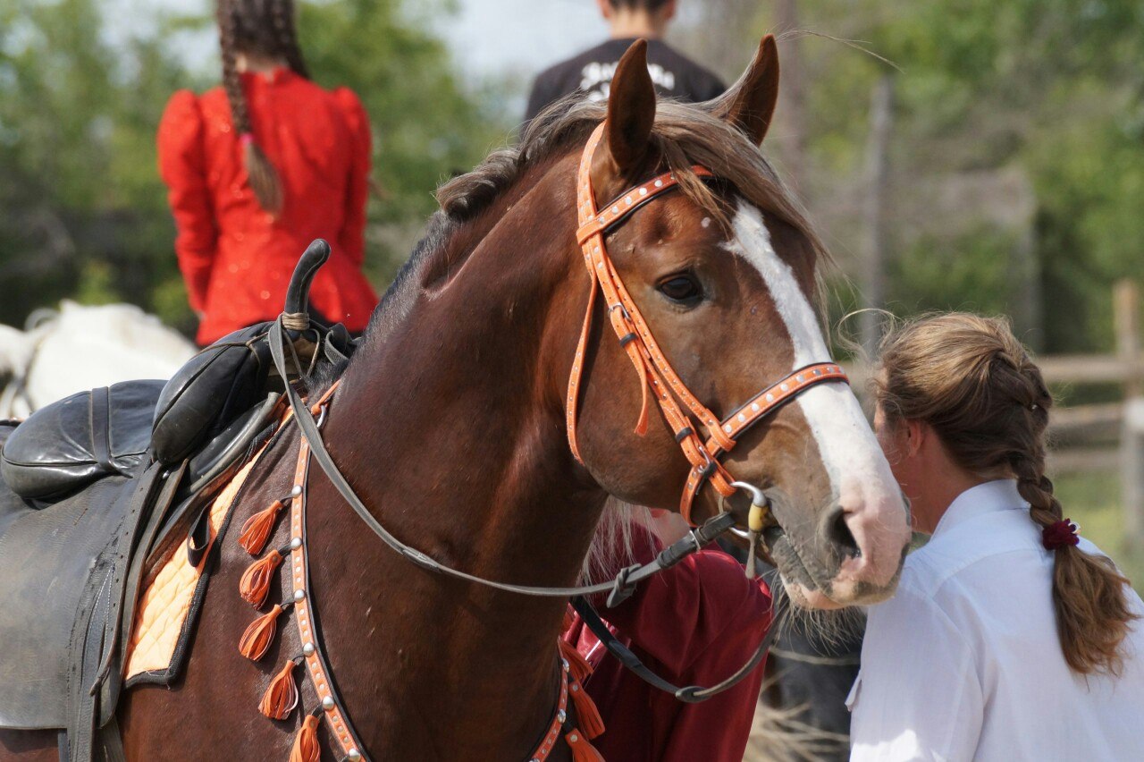 Конноспортивный клуб «Фаворит»
