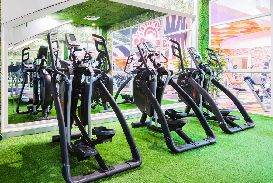 Зебра Алтуфьево