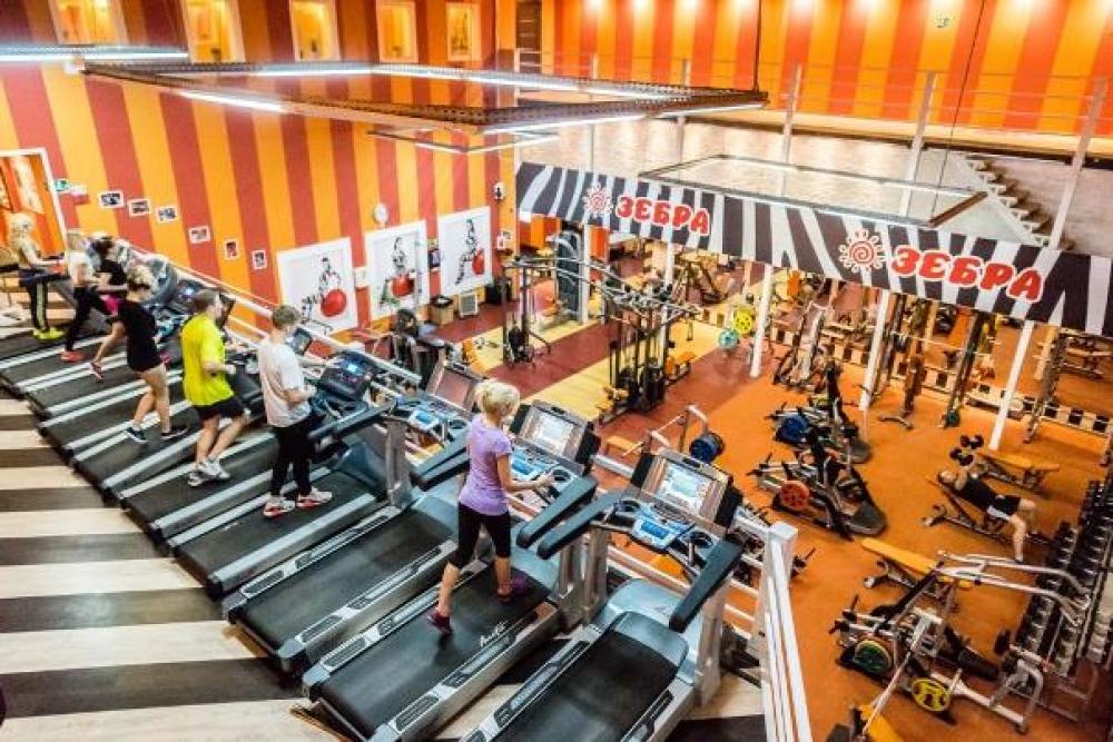 Зебра, м. Павелецкая