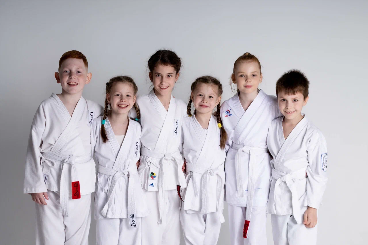 Нижегородская Школа боевых искусств «СЭНЭ»