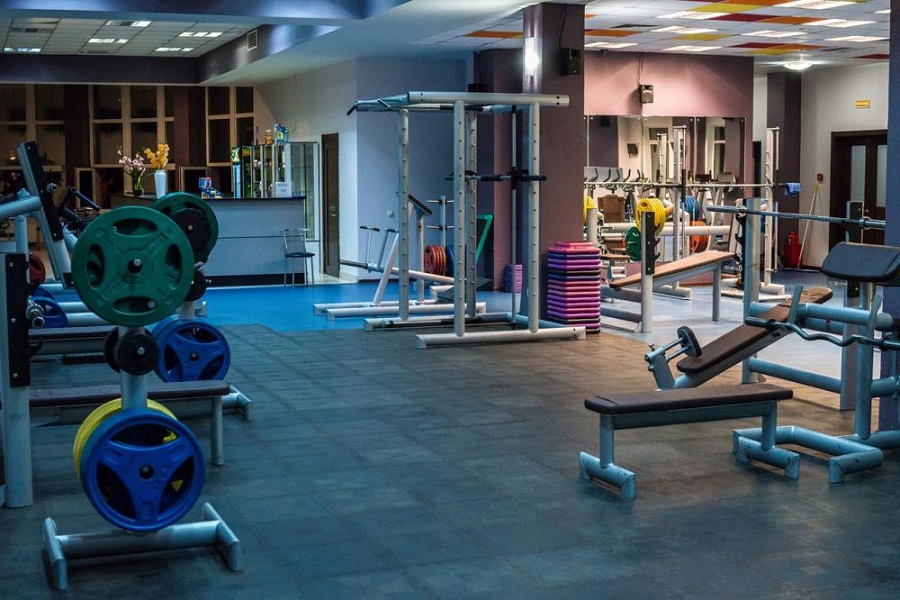 Зебра, г. Щёлково