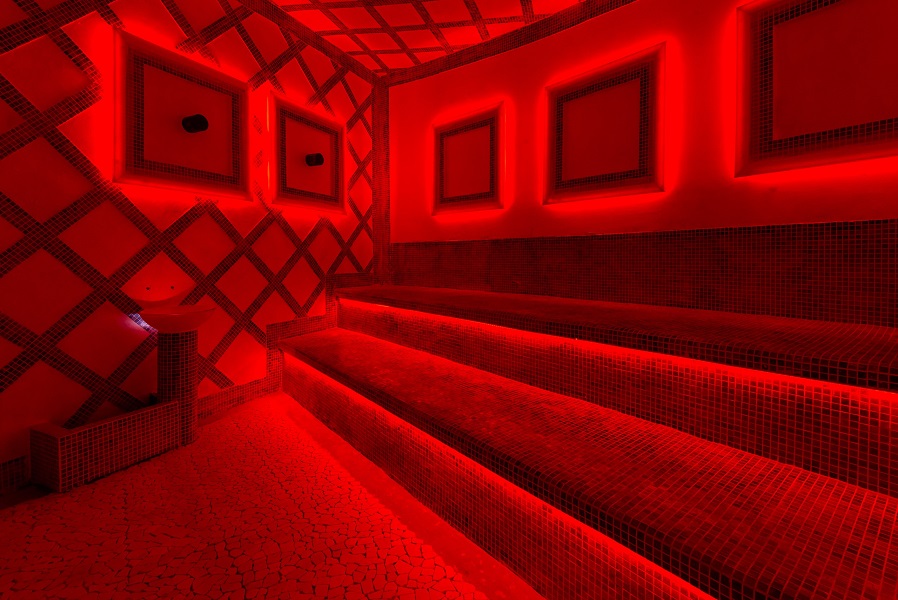 Зебра Алтуфьево