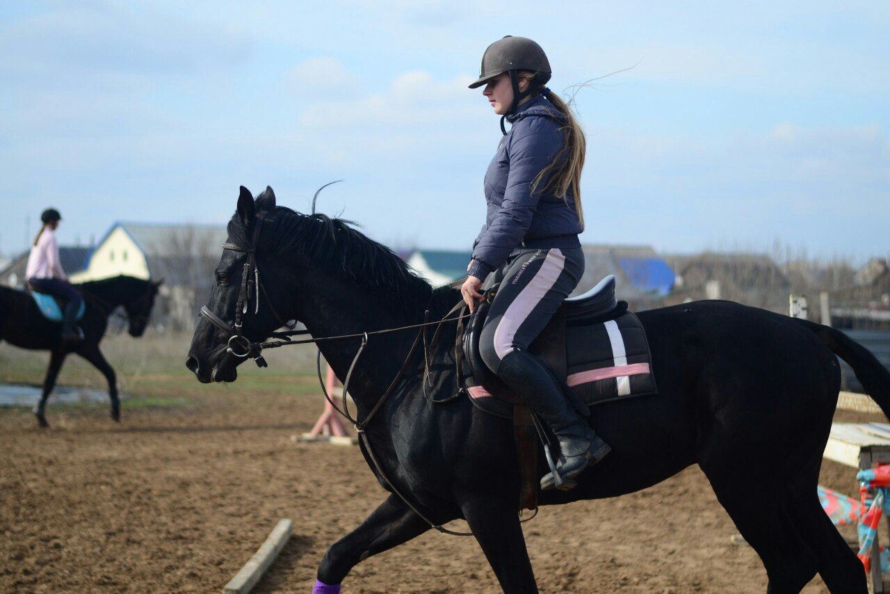 Конноспортивный клуб «Фаворит»