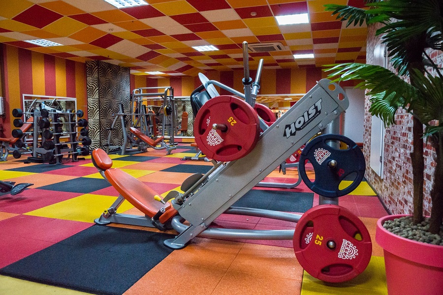 Зебра, м. Дубровка