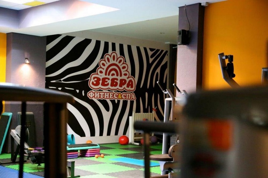 Зебра, г. Щёлково