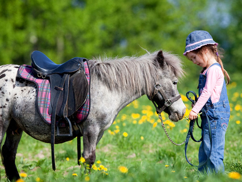 Администратор