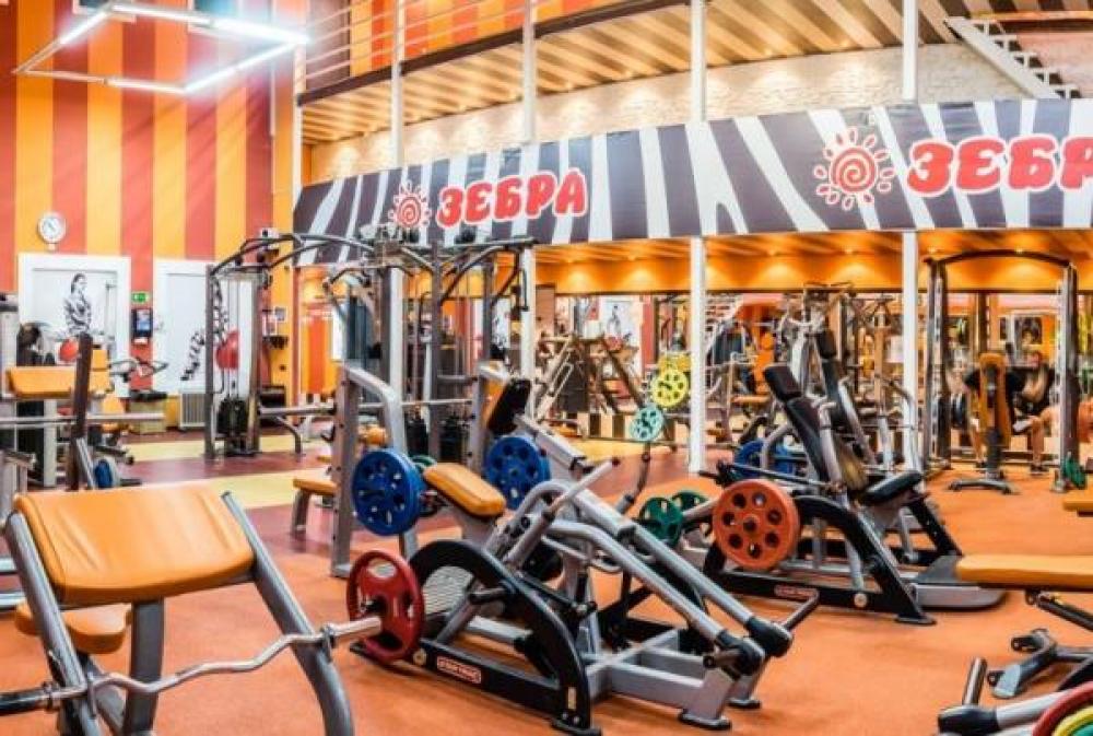 Зебра, м. Павелецкая