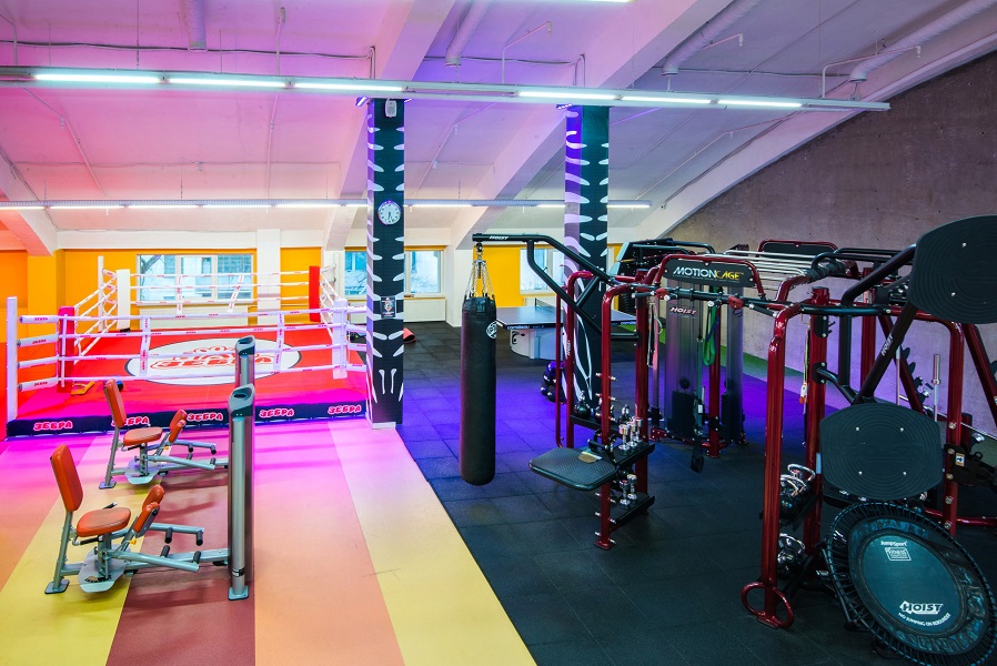 Зебра Алтуфьево