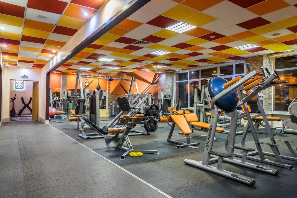 Зебра, м. Нижегородская