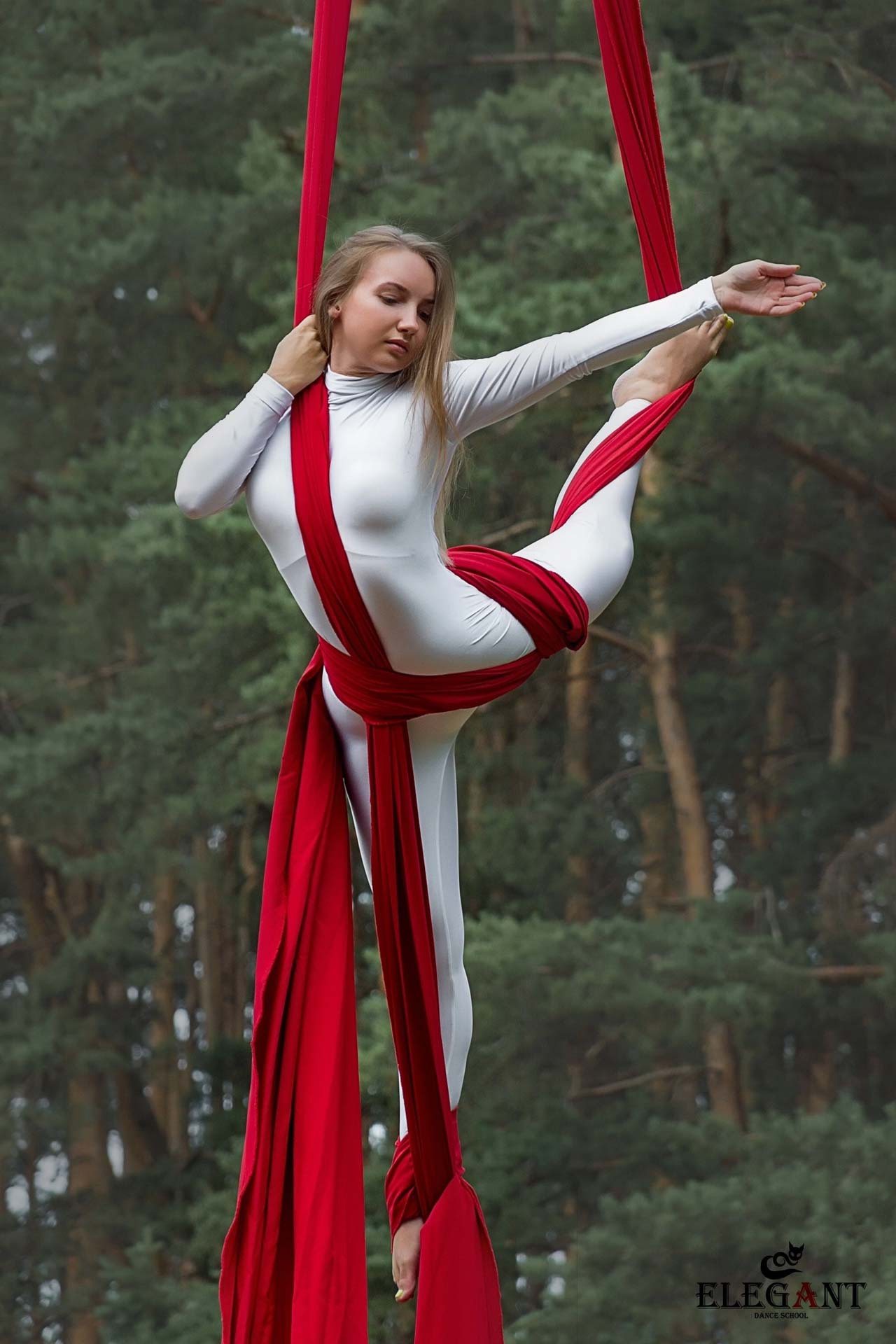 Elegant Pole Dance Kursk