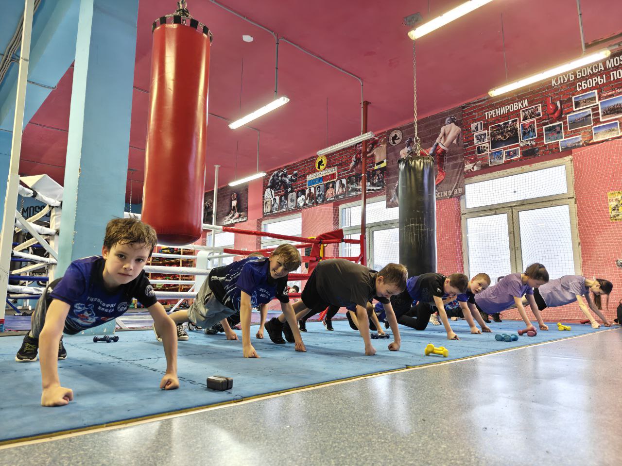 Философия Бокса