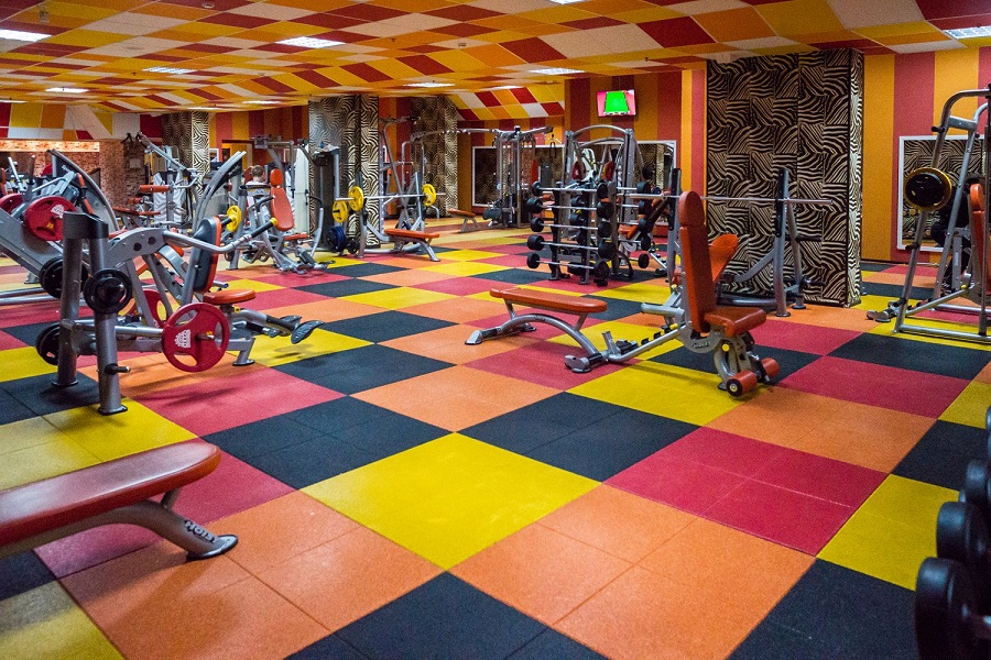 Зебра, м. Дубровка