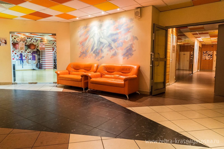 Зебра, м. Свиблово