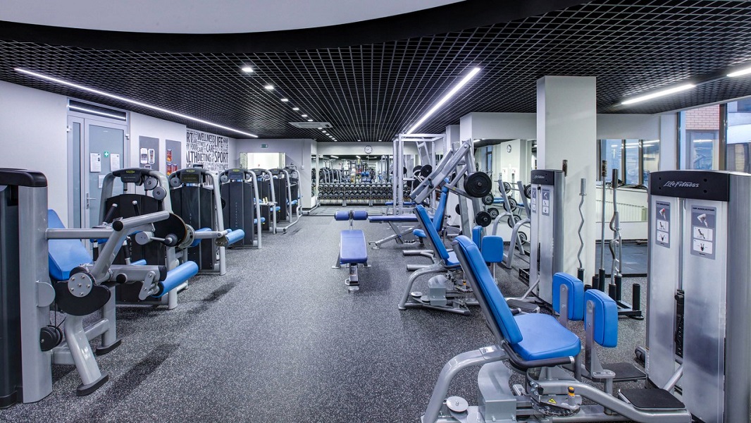 Камелот Gym