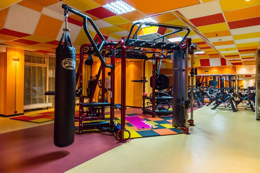 Зебра, м. Дубровка