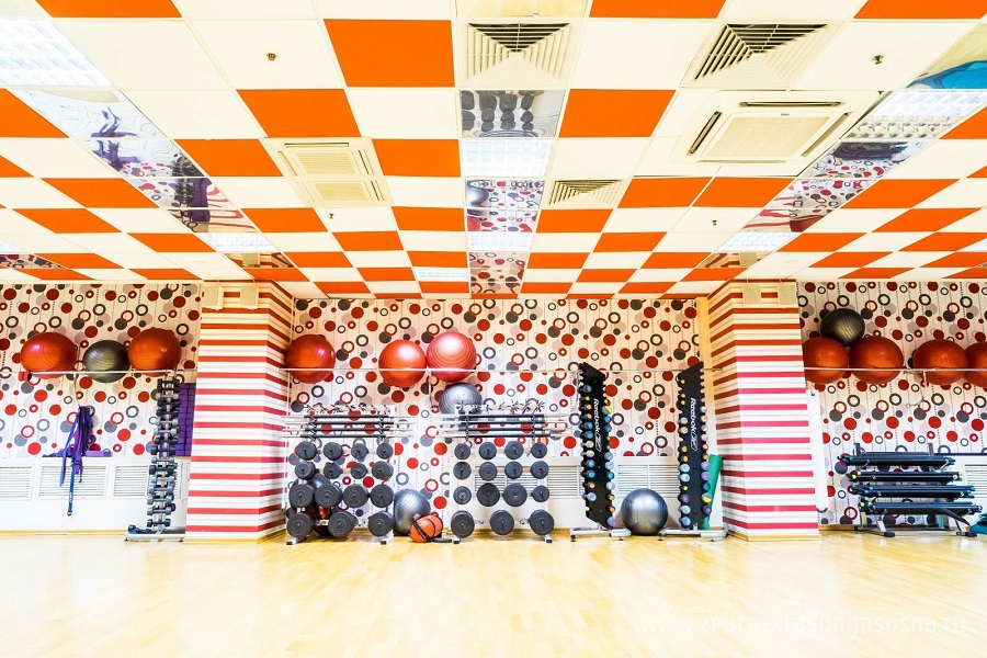 Зебра, м. Свиблово