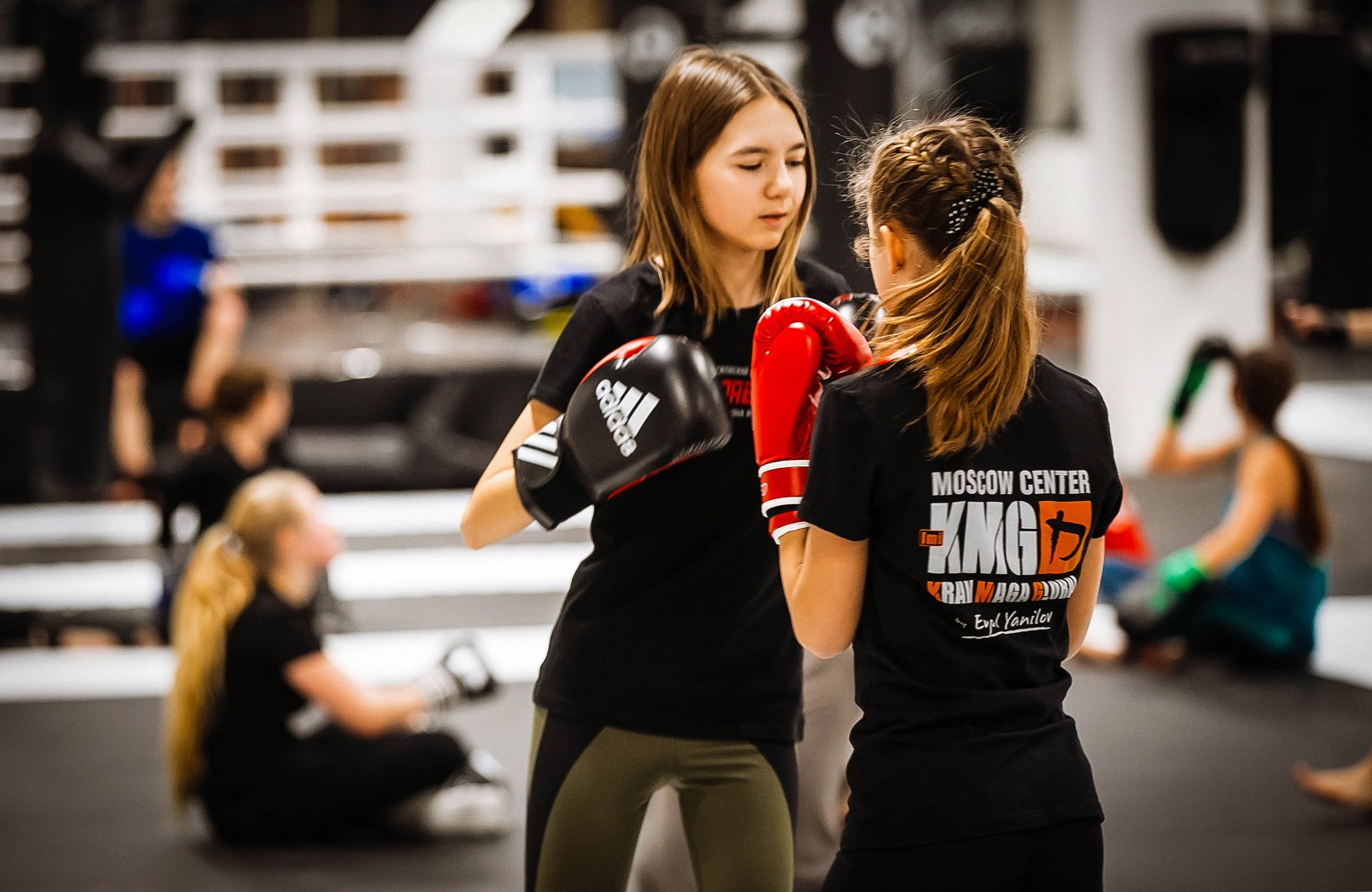 Siberia, бойцовский клуб