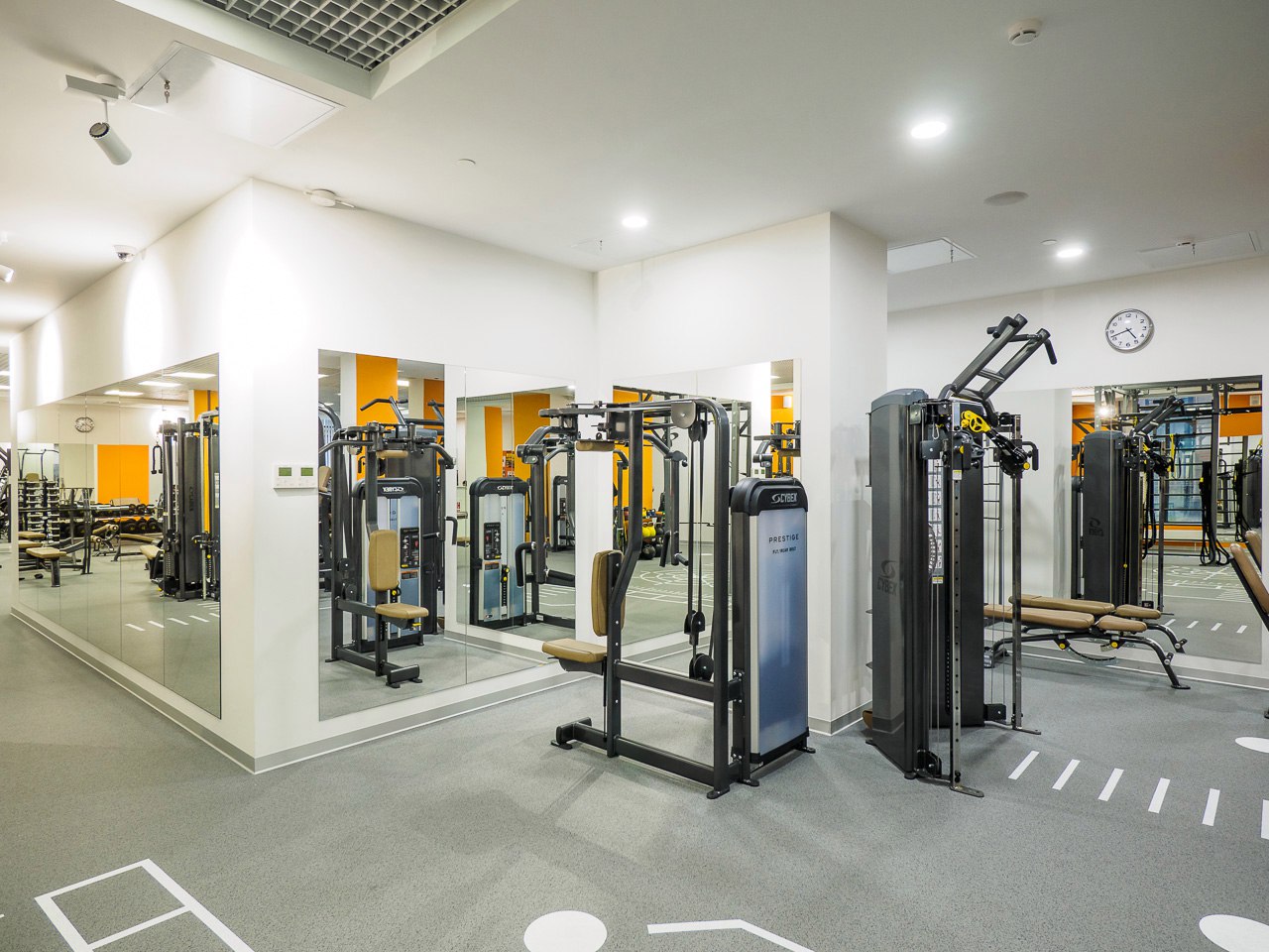 Дон-Спорт Хамовники