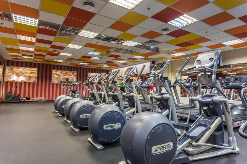 Зебра, м. Свиблово