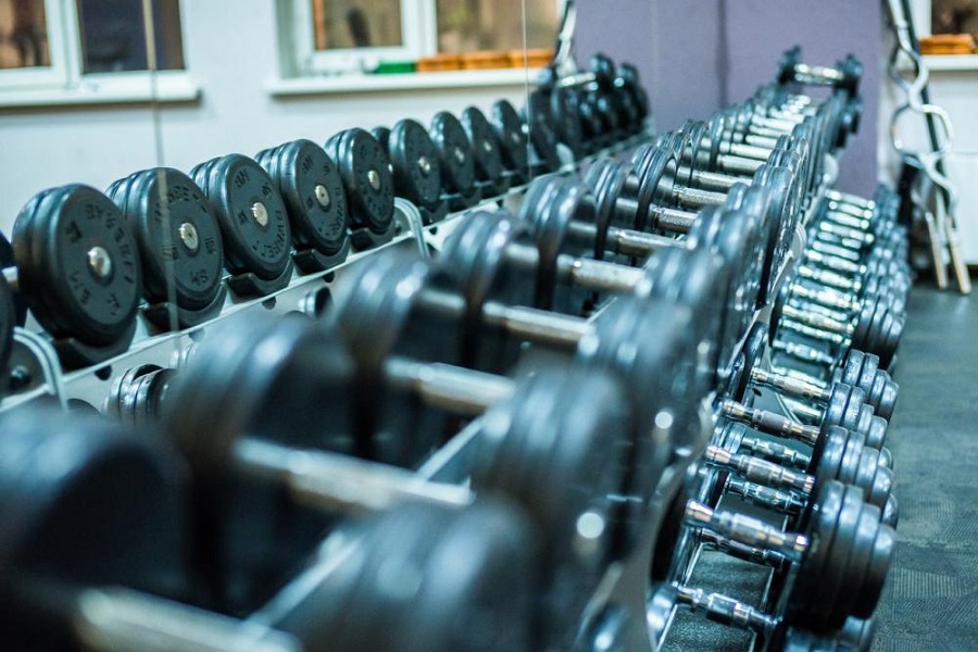 Зебра, г. Щёлково