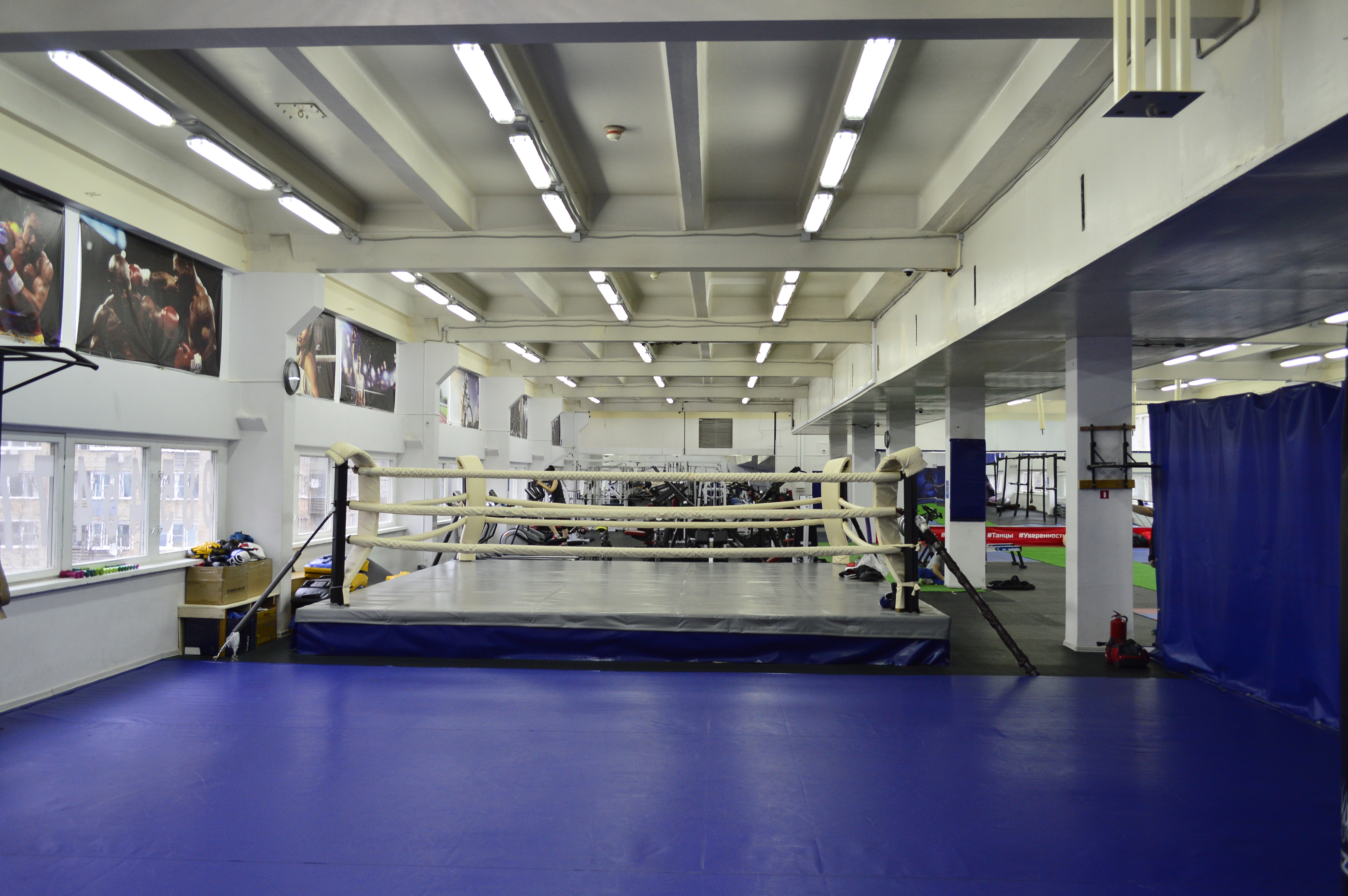 Живая сталь