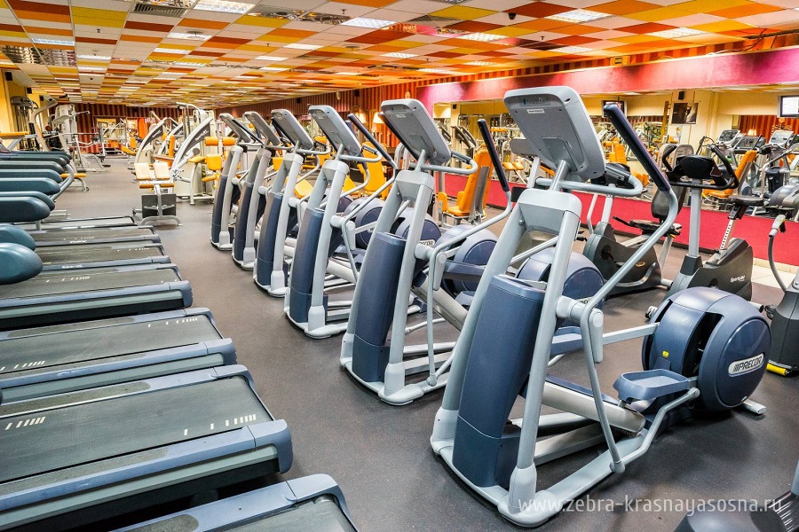 Зебра, м. Свиблово